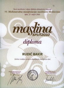 Bakir diploma